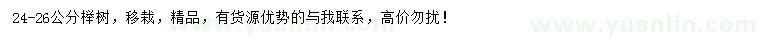 求購24-26公分櫸樹
