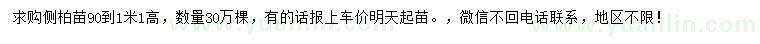 求購高90-110公分側(cè)柏苗
