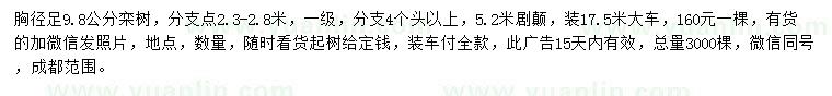求購胸徑9.8公分欒樹