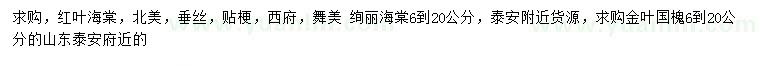 求購(gòu)紅葉海棠、北美、垂絲等