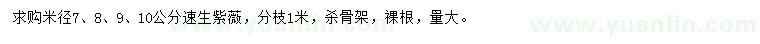 求購米徑7、8、9、10公分速生紫薇