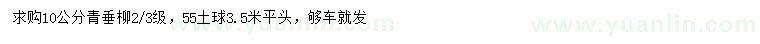 求購10公分青垂柳