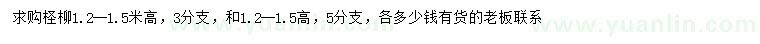 求購高1.2-1.5米檉柳