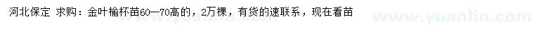 求購(gòu)高60-70公分金葉榆
