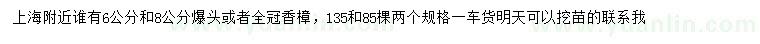 求購(gòu)6、8公分爆頭或者全冠香樟