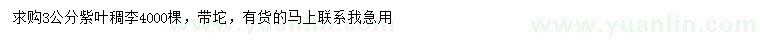求購3公分紫葉稠李