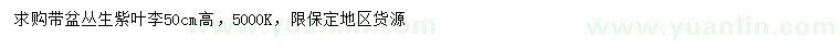 求購(gòu)高50公分叢生紫葉李