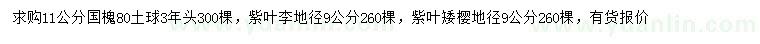 求購國槐、紫葉李、紫葉矮櫻