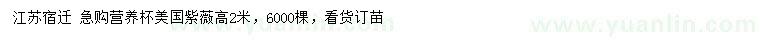 求購高2米美國紫薇