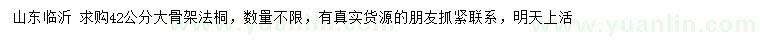 求購42公分大骨架法桐
