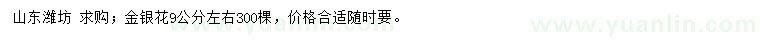 求購9公分左右金銀花