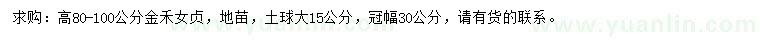 求購高80-100公分金禾女貞