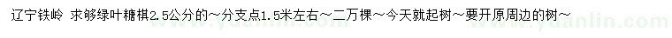 求購2.5公分綠葉糖槭