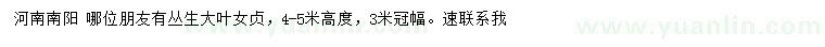 求購高4-5米叢生大葉女貞