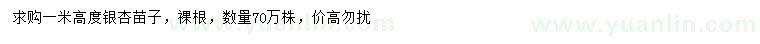 求購高1米銀杏