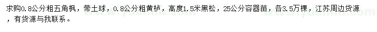求購五角楓、黃櫨、黑松
