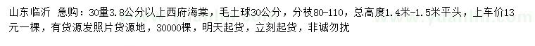 求購30量3.8公分以上西府海棠