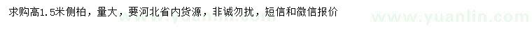 求購高1.5米側(cè)柏