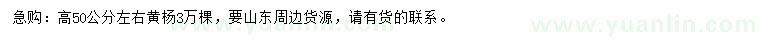 求購(gòu)高50公分左右黃楊
