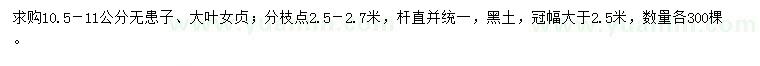 求購10.5-11公分無患子、大葉女貞
