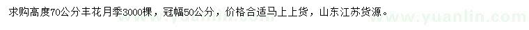求購高度70公分豐花月季
