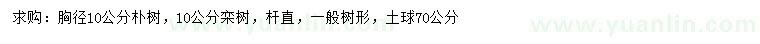 求購10公分樸樹、欒樹