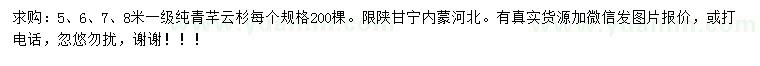 求購5、6、7、8米純青芊云杉