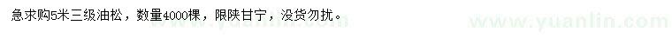 求購5米油松