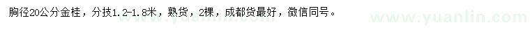 求購胸徑20公分金桂