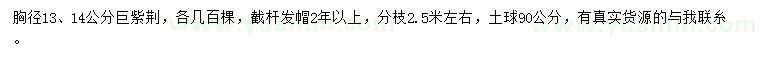 求購胸徑13、14公分巨紫荊
