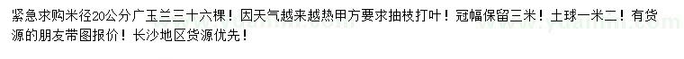 求購米徑20公分廣玉蘭