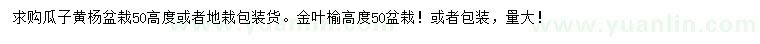 求購(gòu)高50公分瓜子黃楊、金葉榆