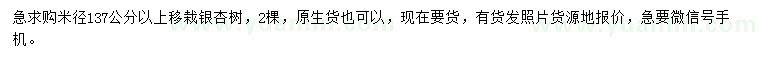求購米徑137公分以上移栽銀杏樹