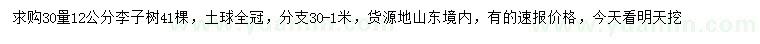 求購30量12公分李子