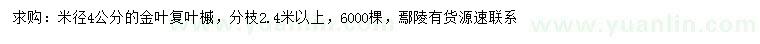 求購米徑4公分金葉復葉槭
