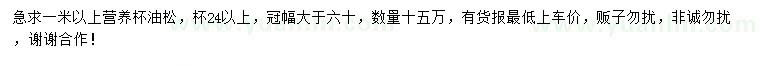 求購1米以上油松