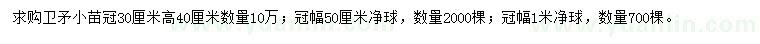 求購冠30、50、100公分衛(wèi)矛小苗