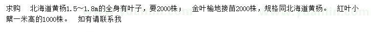 求購(gòu)北海道黃楊、金葉榆、紅葉小檗