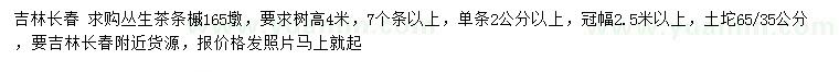 求購高4米叢生茶條槭