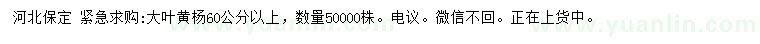 求購(gòu)60公分以上大葉黃楊