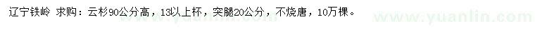 求購高90公分云杉