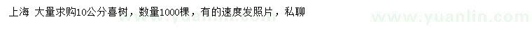 求購10公分喜樹