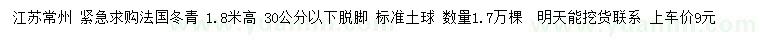 求購(gòu)高1.8米 法國(guó)冬青