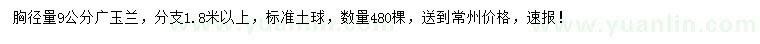 求購胸徑9公分廣玉蘭