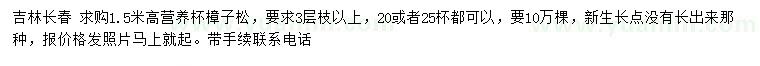 求購高1.5米樟子松