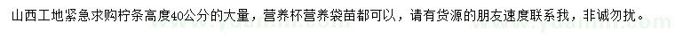 求購高40公分檸條