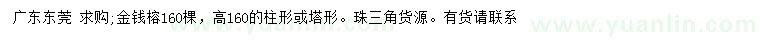 求購高160公分金錢榕
