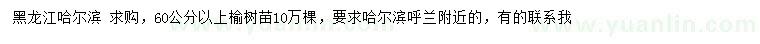 求購60公分以上榆樹苗