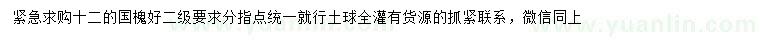 求購12公分國槐