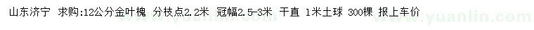 求購12公分金葉槐